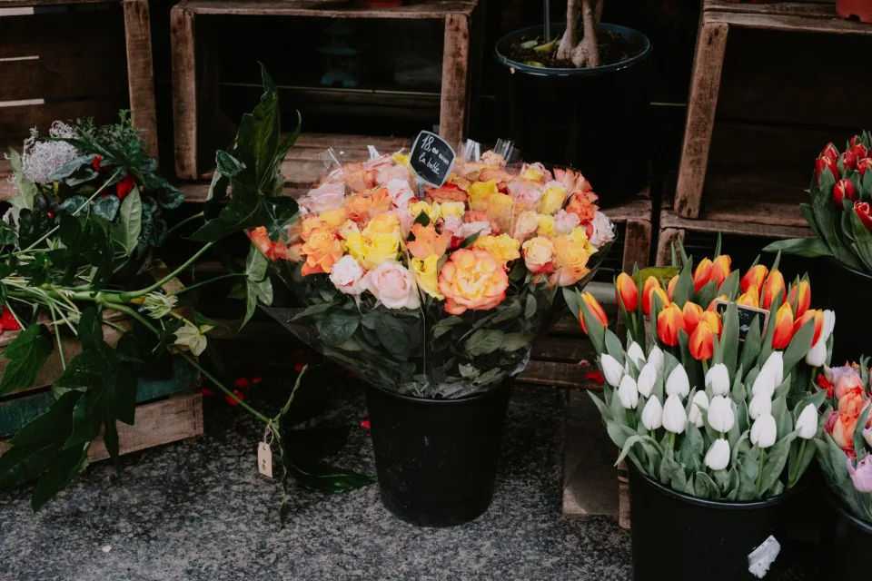 Kệ hoa trước cửa tiệm buổi sáng